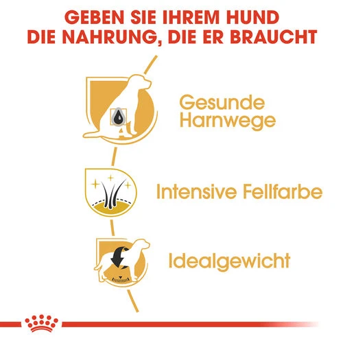 Royal Canin Mini Schnauzer Adult - Hundefutter Royal Canin Mini Schnauzer Adult - Hundefutter -Heimtierbedarf royal canin mini schnauzer adult hondenvoer 140092 0500 none