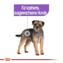 Royal Canin Mini Sterilised - Hundefutter -Heimtierbedarf royal canin mini sterilised hondenvoer 133229 0500 none