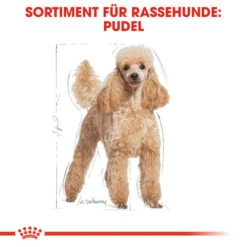 Royal Canin Poodle Adult - Hundefutter -Heimtierbedarf royal canin poodle adult hondenvoer 139663 0500 none