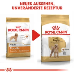 Royal Canin Poodle Adult - Hundefutter -Heimtierbedarf royal canin poodle adult hondenvoer 139690 0500 none