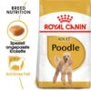 Royal Canin Poodle Adult - Hundefutter -Heimtierbedarf royal canin poodle adult hondenvoer 139717 0500 none
