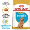 Royal Canin Poodle Puppy - Hundefutter 2 Royal Canin Poodle Puppy - Hundefutter -Heimtierbedarf royal canin poodle puppy hondenvoer 139789 0500 none