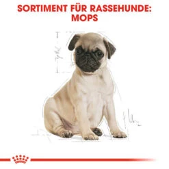 Royal Canin Pug Puppy - Hundefutter -Heimtierbedarf royal canin pug puppy hondenvoer 139885 0500 none