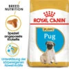 Royal Canin Pug Puppy - Hundefutter -Heimtierbedarf royal canin pug puppy hondenvoer 139921 0500 none