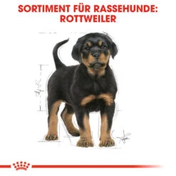 Royal Canin Rottweiler Puppy - Hundefutter 5 Royal Canin Rottweiler Puppy - Hundefutter -Heimtierbedarf royal canin rottweiler puppy hondenvoer 140029 0500 none