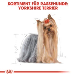 Royal Canin Yorkshire Terrier Adult - Hundefutter 5 Royal Canin Yorkshire Terrier Adult - Hundefutter -Heimtierbedarf royal canin yorkshire terrier adult hondenvoer 140714 0500 none