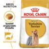 Royal Canin Yorkshire Terrier Adult - Hundefutter 1 Royal Canin Yorkshire Terrier Adult - Hundefutter -Heimtierbedarf royal canin yorkshire terrier adult hondenvoer 140768 0500 none