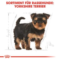 Royal Canin Yorkshire Terrier Puppy - Hundefutter -Heimtierbedarf royal canin yorkshire terrier puppy hondenvoer 140804 0500 none