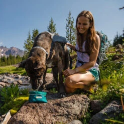 Ruffwear Flat Out Dog Collar - Alpenglow Burst -Heimtierbedarf ruffwear flat out dog collar alpenglow burst 204812 0500 none