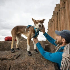 Ruffwear Grip Trex Boots -Heimtierbedarf ruffwear grip trex boots 204740 0500 none