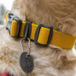 Ruffwear Hi & Light Halsband -Heimtierbedarf ruffwear hi light collar 194258 0500 none