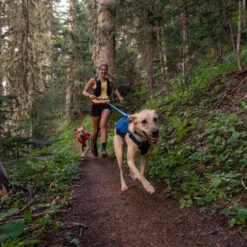 Ruffwear Roamer Leash - Blue Atoll 11 Ruffwear Roamer Leash - Blue Atoll -Heimtierbedarf ruffwear roamer leash blue atoll 204797 0500 none
