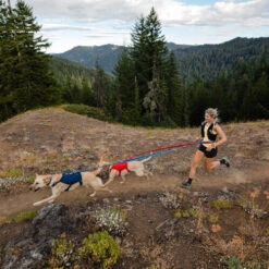 Ruffwear Roamer Leash - Blue Atoll 12 Ruffwear Roamer Leash - Blue Atoll -Heimtierbedarf ruffwear roamer leash blue atoll 204800 0500 none