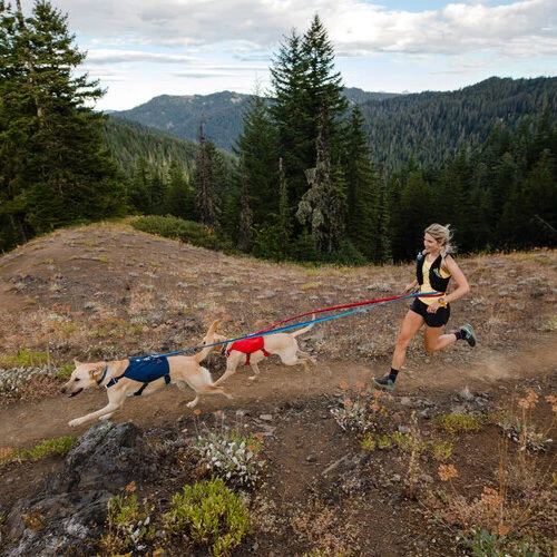 Ruffwear Roamer Leash - Blue Atoll Ruffwear Roamer Leash - Blue Atoll -Heimtierbedarf ruffwear roamer leash blue atoll 204800 0500 none