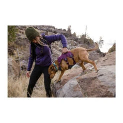 Ruffwear Webmaster Harness -Heimtierbedarf ruffwear webmaster harness 217109 0500 none