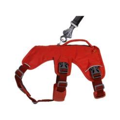 Ruffwear Webmaster Harness -Heimtierbedarf ruffwear webmaster harness 217119 0500 none