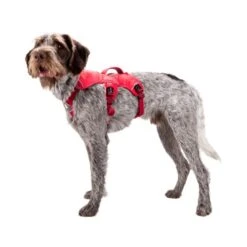 Ruffwear Webmaster Harness -Heimtierbedarf ruffwear webmaster harness 88447 0500 none