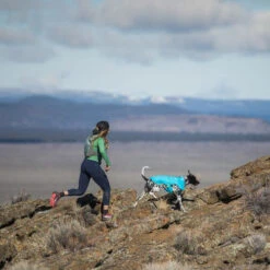 Ruffwear Wind Sprinter Jacket 5 Ruffwear Wind Sprinter Jacket -Heimtierbedarf ruffwear wind sprinter jacket 124694 0500 none