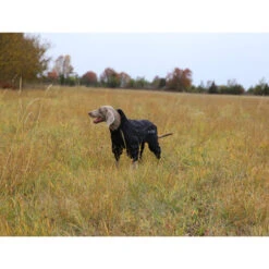 RukkaPets Protect Overall 4 RukkaPets Protect Overall -Heimtierbedarf rukkapets protect overall zwart 216401 0500 none