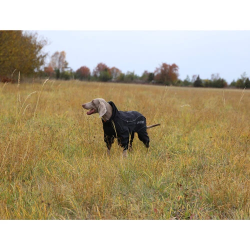 RukkaPets Protect Overall RukkaPets Protect Overall -Heimtierbedarf rukkapets protect overall zwart 216401 0500 none