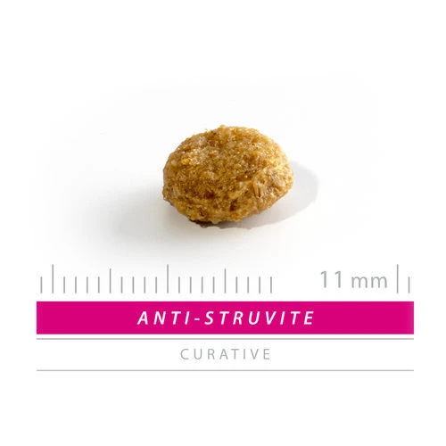 SANIMED Anti Struvite Dog SANIMED Anti Struvite Dog -Heimtierbedarf sanimed anti struvite dog 220097 0500 none