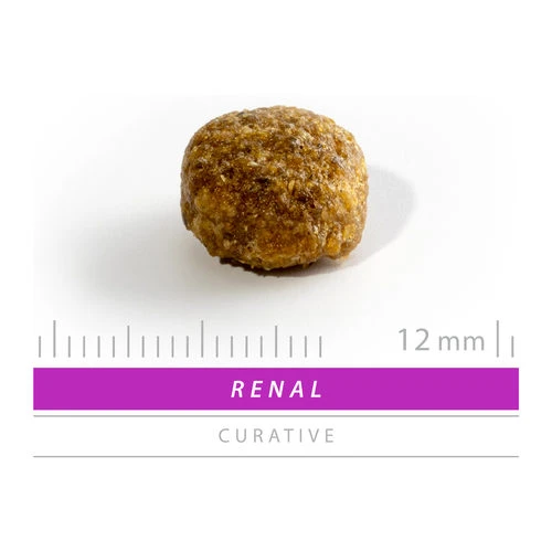 SANIMED Renal/Liver/Stones Dog SANIMED Renal/Liver/Stones Dog -Heimtierbedarf sanimed renalliverstones dog 159284 0500 none