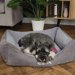 Scruffs Thermal Box Bed -Heimtierbedarf scruffs thermal box bed 190825 0500 none