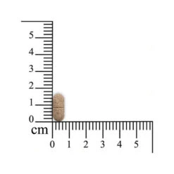 Heimtierbedarf 27 Heimtierbedarf -Heimtierbedarf sensipharm omniderma hond 174730 0500 none