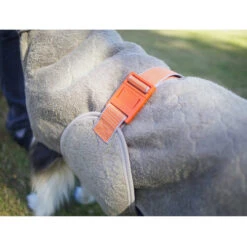 Siccaro WetDog SupremePro -Heimtierbedarf siccaro wetdog supremepro 20 216999 0500 none