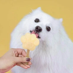 Smoofl Hundeeis Starter Kit -Heimtierbedarf smoofl dog ice starter kit 195155 0500 none