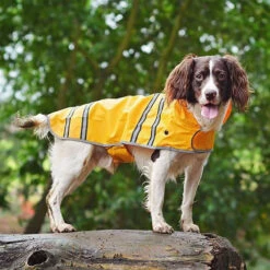 Sötnos Hunderegenmantel -Heimtierbedarf stnos hondenregenjas 130475 0500 none
