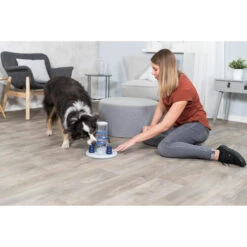 Trixie Dog Activity Gambling Tower 7 Trixie Dog Activity Gambling Tower -Heimtierbedarf trixie dog activity gambling tower 179852 0500 none