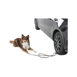 Heimtierbedarf 7 Trixie Auffahrplatte