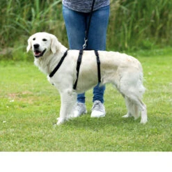 Trixie Stay Sicherheitsgeschirr -Heimtierbedarf trixie stay hondentuig 95231 0500 none