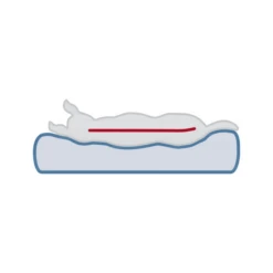 Trixie Vital Orthopädische Matratze Lonni 11 Trixie Vital Orthopädische Matratze Lonni -Heimtierbedarf trixie vital ligmat lonni 217058 0500 none