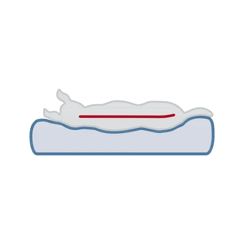 Trixie Vital Orthopädische Matratze Lonni Trixie Vital Orthopädische Matratze Lonni -Heimtierbedarf