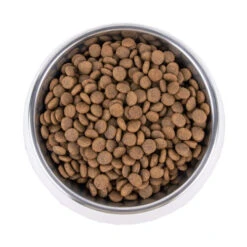 Vetality Hypoallergenic - Hundefutter -Heimtierbedarf vetality hypoallergenic hondenvoer 195278 0500 none