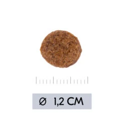 Vetality Hypoallergenic - Hundefutter -Heimtierbedarf vetality hypoallergenic hondenvoer 195473 0500 none