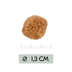 Vetality Metabolic & Mobility - Hundefutter -Heimtierbedarf vetality metabolic mobility hondenvoer 195470 0500 none