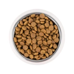 Vetality Puppy Maxi - Hundefutter -Heimtierbedarf vetality puppy maxi hondenvoer 213665 0500 none