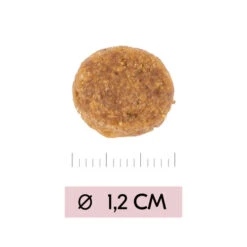 Vetality Puppy Maxi - Hundefutter -Heimtierbedarf vetality puppy maxi hondenvoer 213668 0500 none