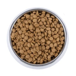 Vetality Skin Support - Hundefutter -Heimtierbedarf vetality skin support hondenvoer 195221 0500 none