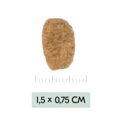 Vetality Weight Management - Hundefutter -Heimtierbedarf vetality weight management hondenvoer 195455 0500 none