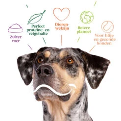 Yarrah - Bio Trockenfutter Vega Getreidefrei -Heimtierbedarf yarrah bio droogvoer hond vega graanvrij 201212 0500 none