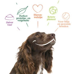 Yarrah - Hundefutter In Soße Vega Mit Hagebutten Bio -Heimtierbedarf yarrah bio natvoer hond kuipje chunks vega 200843 0500 none