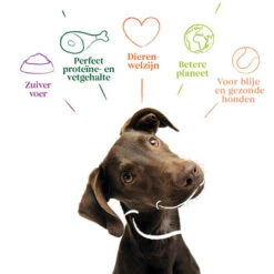 Yarrah - Getreidefreies Trockenfutter Bio -Heimtierbedarf yarrah droogvoer hond graanvrij bio 201170 0500 none