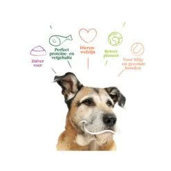 Yarrah - Trockenfutter Senior Mit Huhn, Fisch Und Kräutern Bio -Heimtierbedarf yarrah droogvoer hond senior bio 201146 0500 none