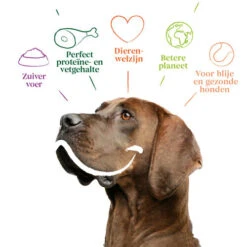 Yarrah - Trockenfutter Sensitiv Mit Huhn Und Reis Bio -Heimtierbedarf yarrah droogvoer hond sensitive bio 199148 0500 none