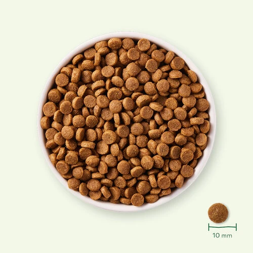 Yarrah - Trockenfutter für Welpen mit Huhn Bio Yarrah - Trockenfutter Für Welpen Mit Huhn Bio -Heimtierbedarf yarrah droogvoer puppy bio 199694 0500 none