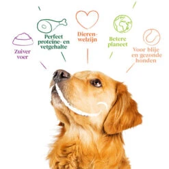 Yarrah - Hundefutter Paté Huhn Mit Spirulina Und Meeresalgen In Soße Bio -Heimtierbedarf yarrah natvoer hond blik pat met kip bio 201002 0500 none